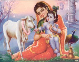 Shree-Krishna