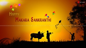 Sankranthi-2014 (1)