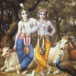 भागवत कथाः बलरामजी द्वारा धेनुकासुर संहार