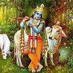कार्तिक स्नान, व्रत आदि के प्रभाव से विधवा गुणवती अगले जन्म में हुई श्रीकृष्ण की पत्नीः कार्तिक महात्म्य दूसरा अध्याय