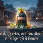 पुराने कर्ज, गृह क्लेश, मानसिक पीड़ा से शांति दिलाएंगे ये 17 शिव मंत्र