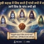 पंचमुखी रुद्राक्ष में शिव करते हैं पांचों रूपों में वासः जानें शिव के पांच रूपों को